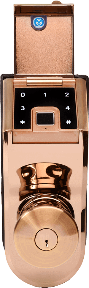 bronze-front-transparent-bg